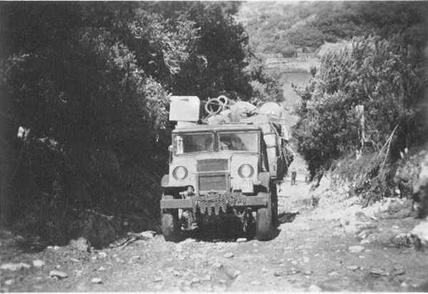 Full-size image