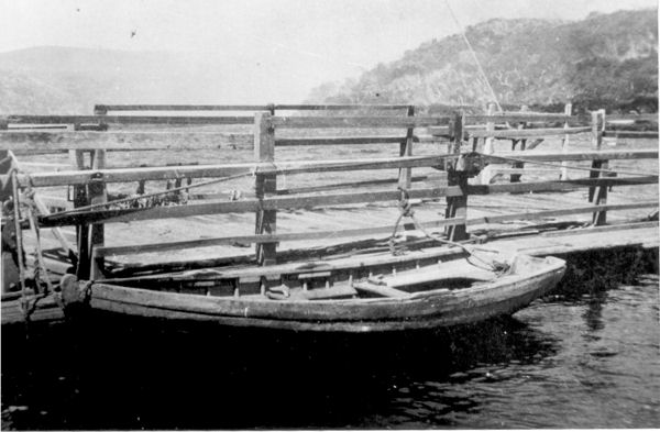 Full-size image