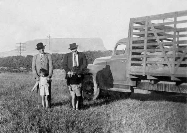 Full-size image