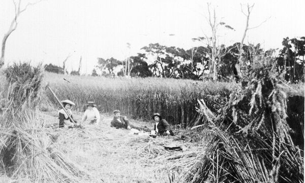 Full-size image