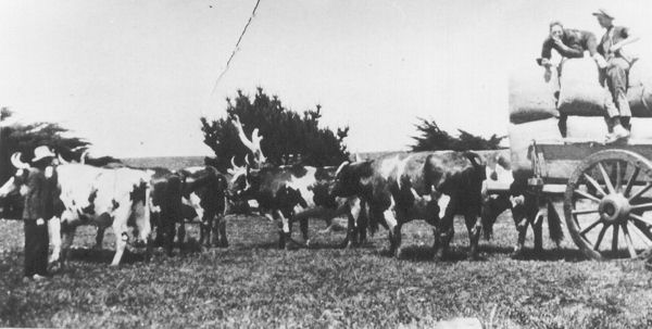 Full-size image