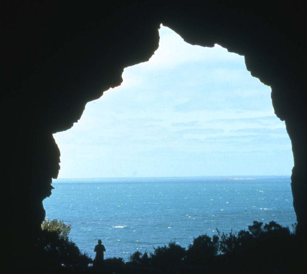 Full-size image
