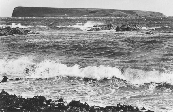 Full-size image