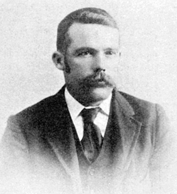 Full-size image