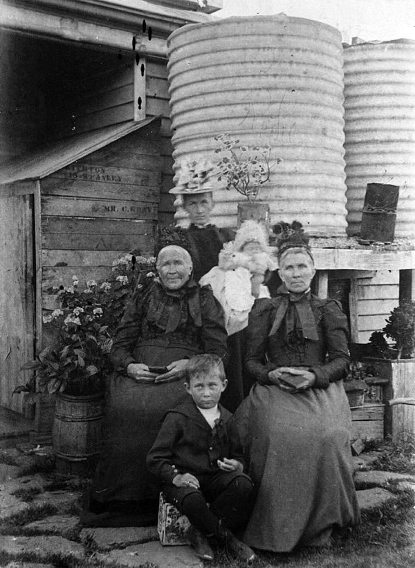 Full-size image