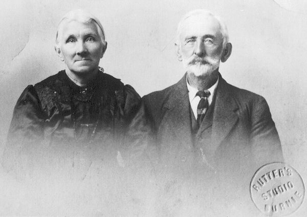 Full-size image