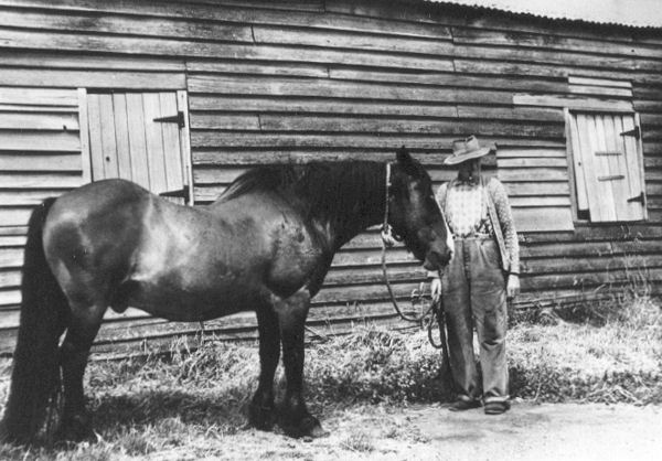 Full-size image