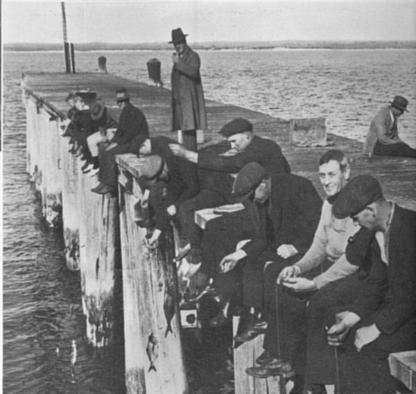Full-size image