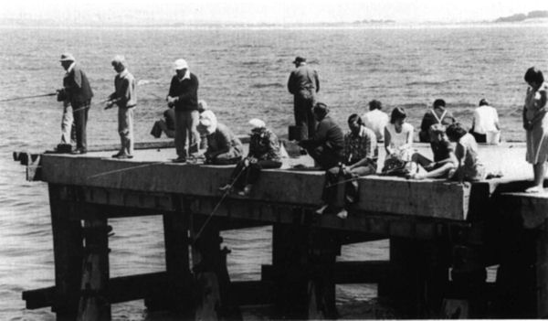 Full-size image