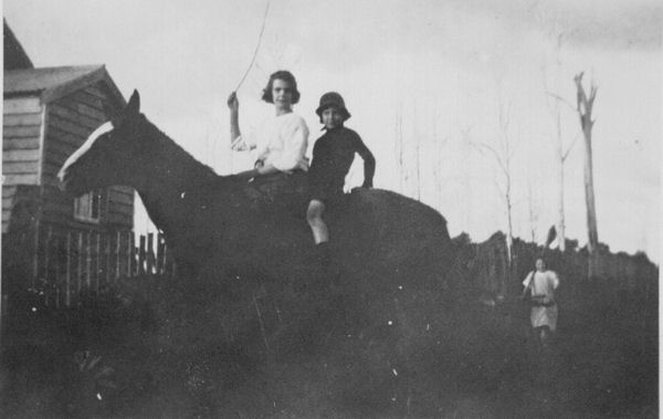 Full-size image