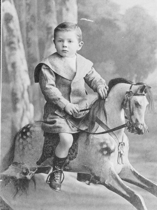Full-size image