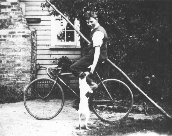 Full-size image