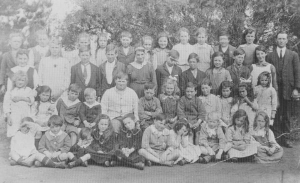 Full-size image