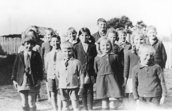 Full-size image