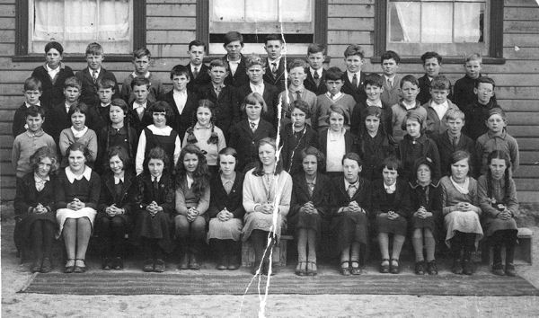 Full-size image