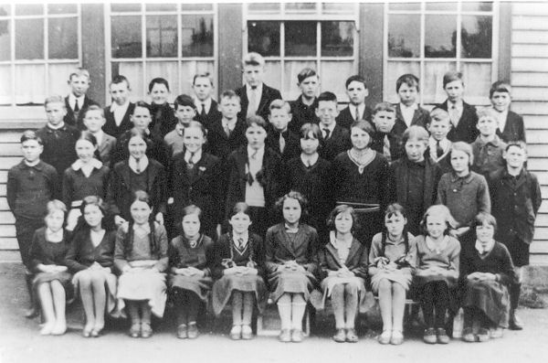 Full-size image