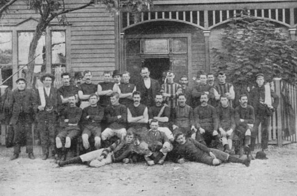 Full-size image