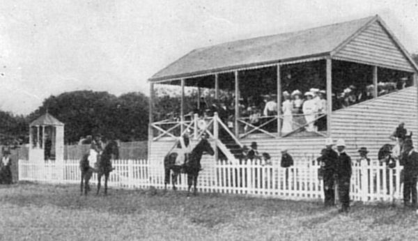 Full-size image