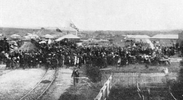 Full-size image