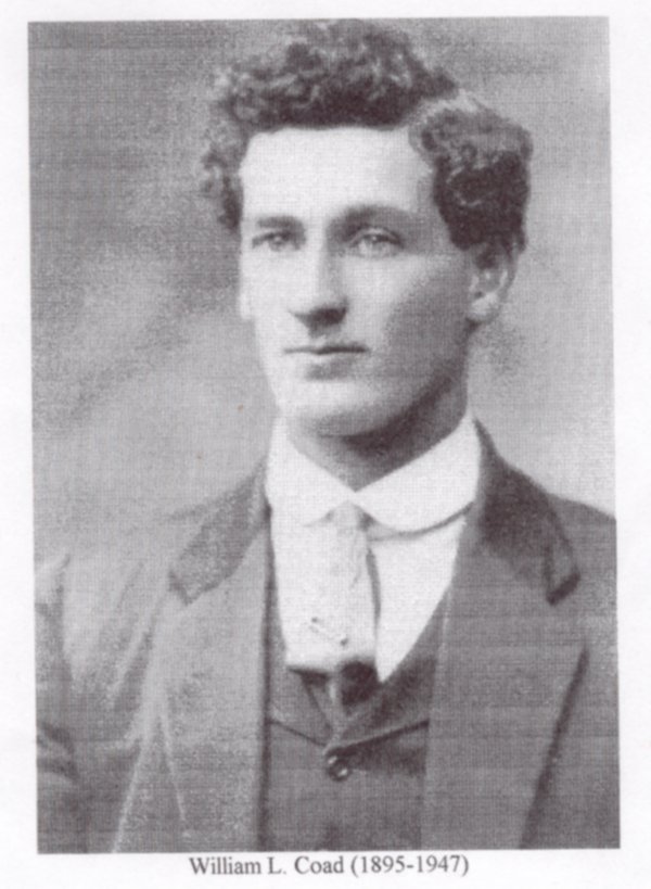 Full-size image