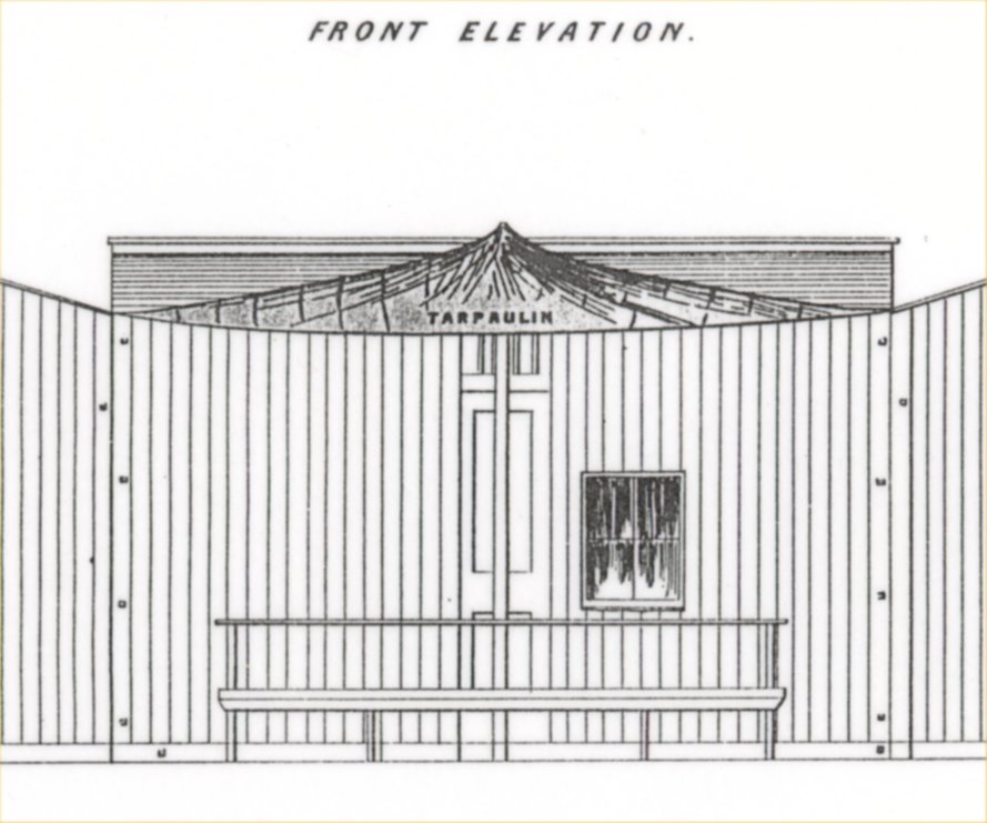Full-size image