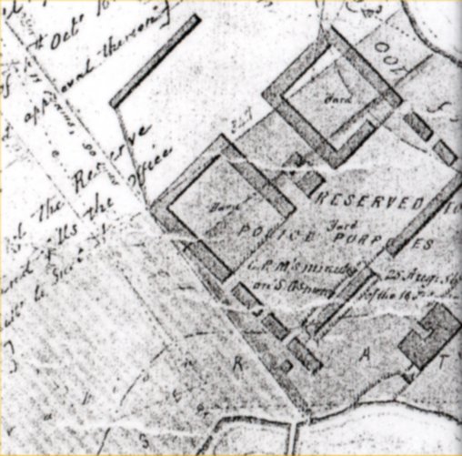 Full-size image