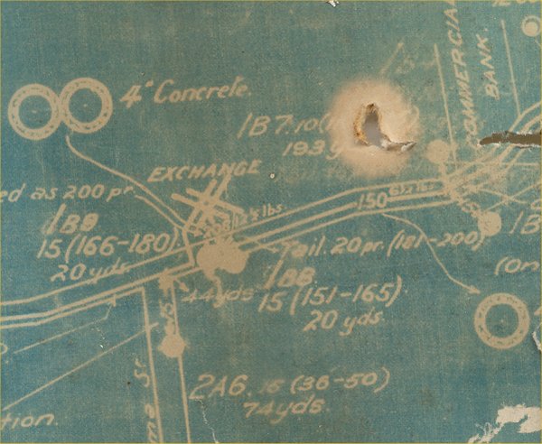 Full-size image