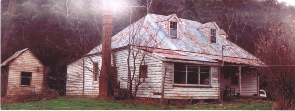 Full-size image