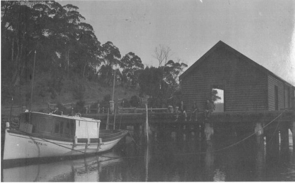 Full-size image