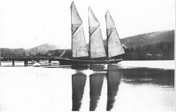 Full-size image