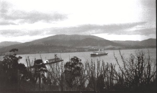 Full-size image