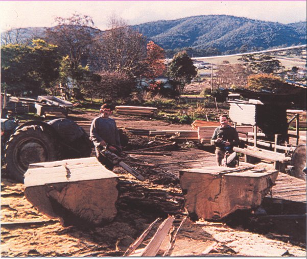 Full-size image