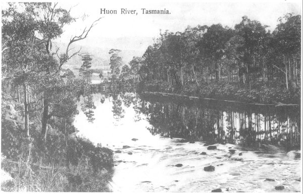 Full-size image
