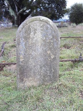 Full-size image