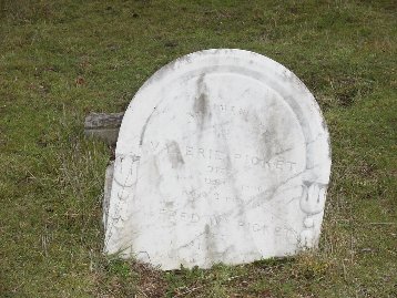 Full-size image