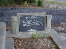 Full-size image