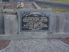Full-size image