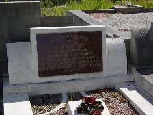 Full-size image