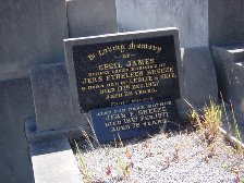 Full-size image