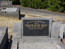 Full-size image