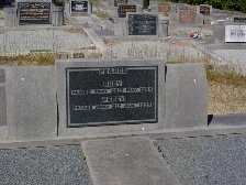 Full-size image