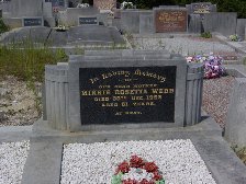 Full-size image