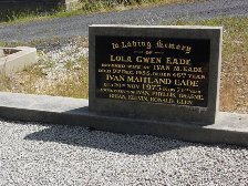 Full-size image