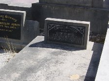 Full-size image
