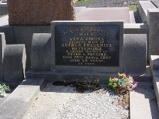 Full-size image