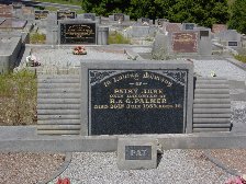 Full-size image