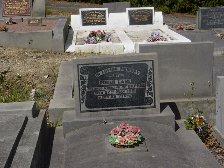 Full-size image