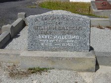 Full-size image