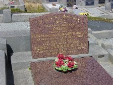 Full-size image