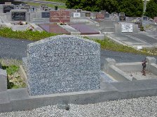 Full-size image